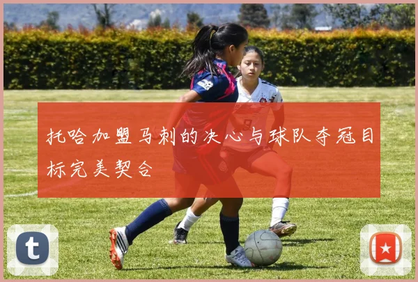 托哈加盟马刺的决心与球队夺冠目标完美契合