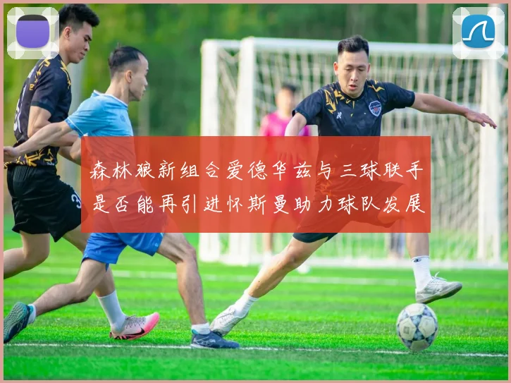 森林狼新组合爱德华兹与三球联手是否能再引进怀斯曼助力球队发展