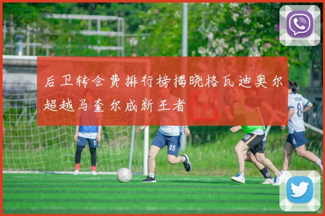 后卫转会费排行榜揭晓格瓦迪奥尔超越马奎尔成新王者